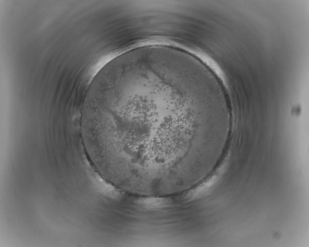 X0000092020953200709061550