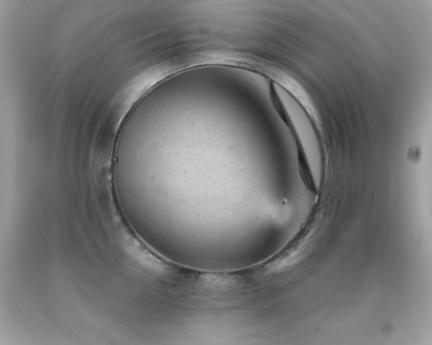 X0000092020954200709061550