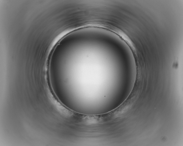 X0000092020955200709061550