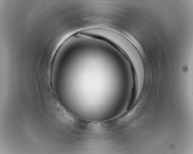 X0000092020956200709061550