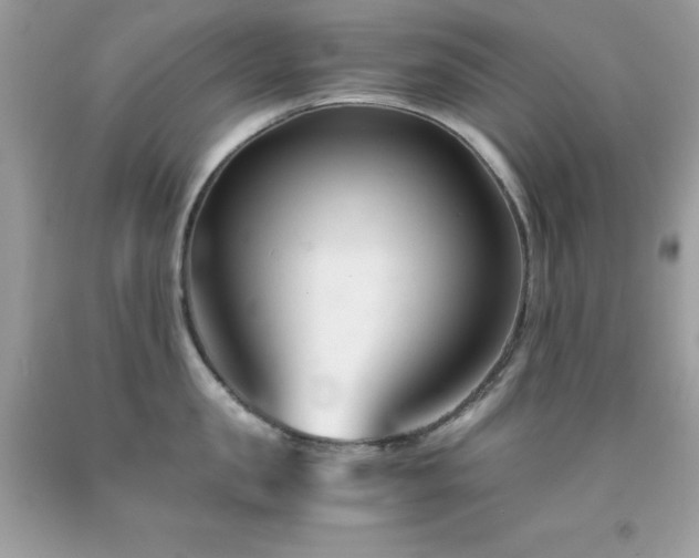 X0000092020957200709061550