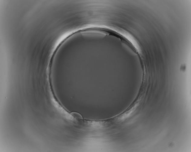 X0000092020958200709061550