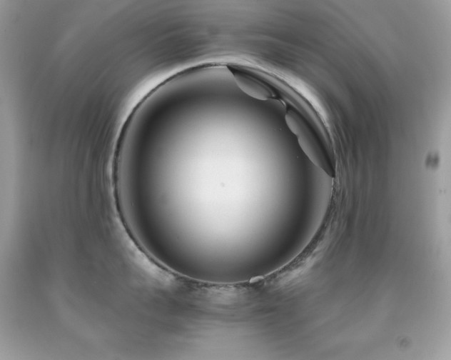 X0000092020959200709061550