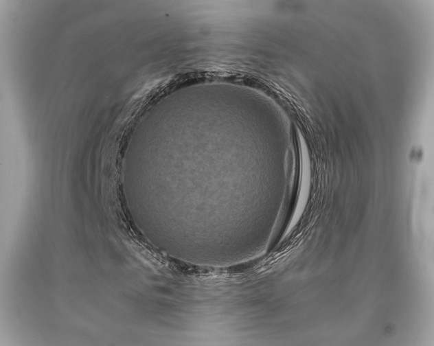 X0000092020961200709061550