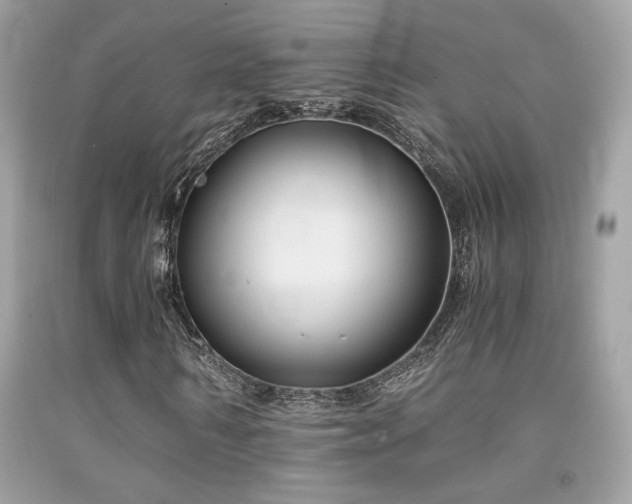 X0000092020962200709061550