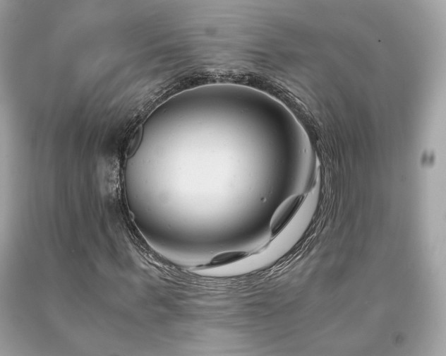 X0000092020963200709061550