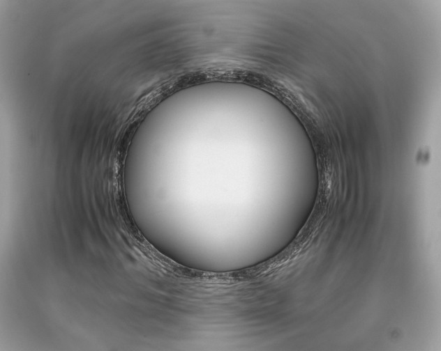 X0000092020964200709061550