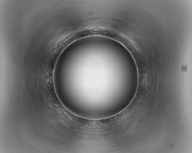 X0000092020966200709061550