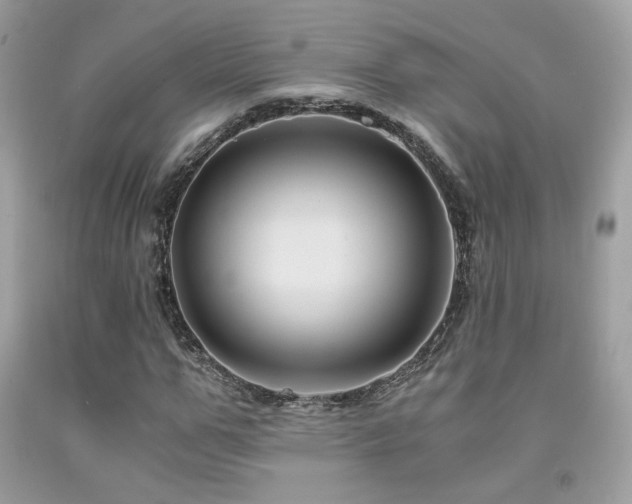 X0000092020967200709061550