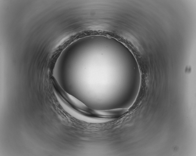 X0000092020968200709061550
