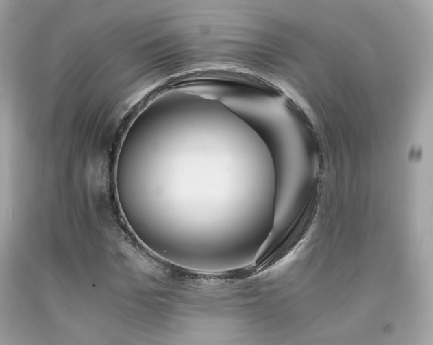 X0000092020969200709061550