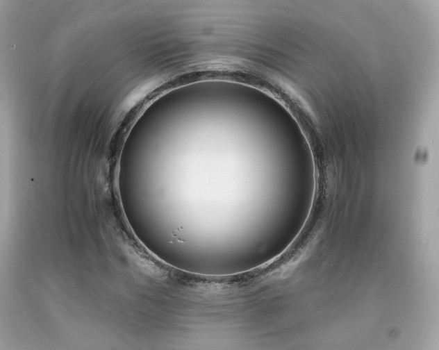 X0000092020970200709061550