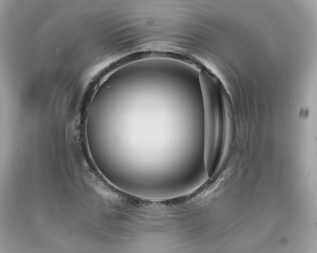 X0000092020971200709061550