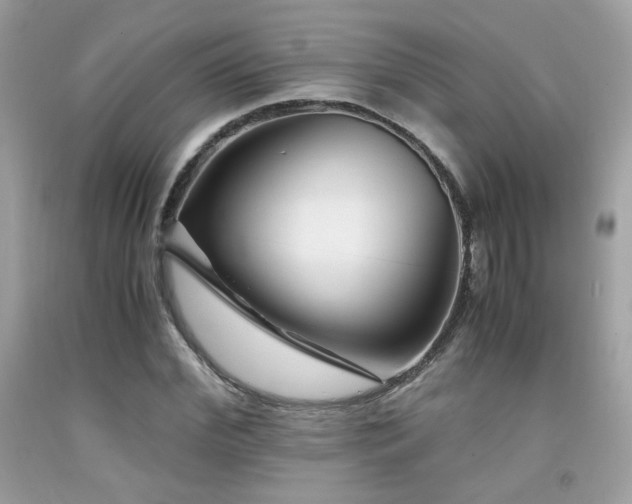 X0000092020972200709061550