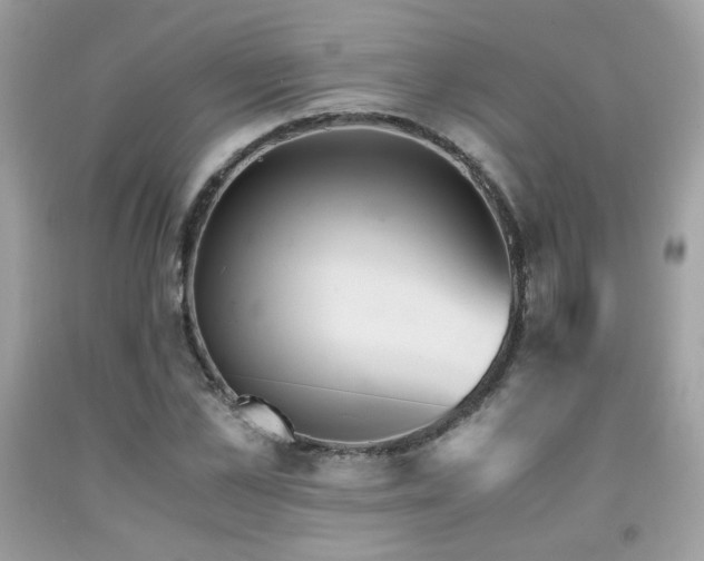 X0000092020973200709061550