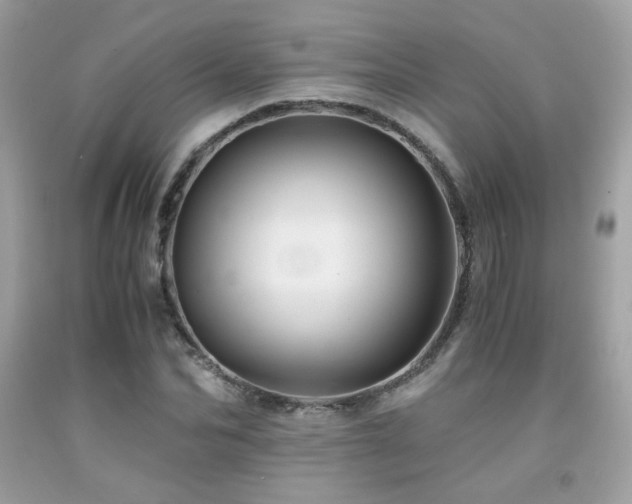 X0000092020974200709061550