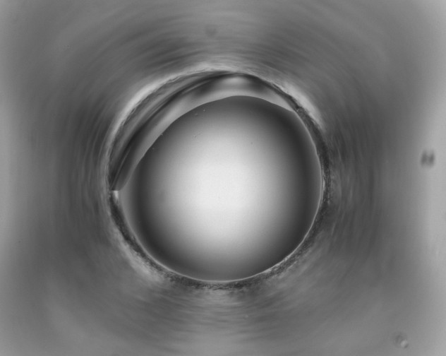 X0000092020976200709061550