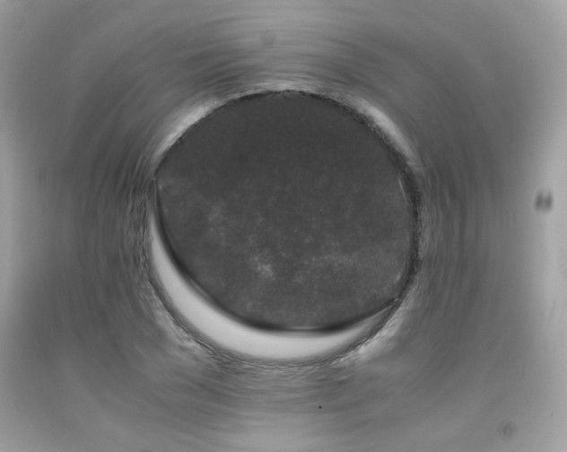 X0000092020977200709061550