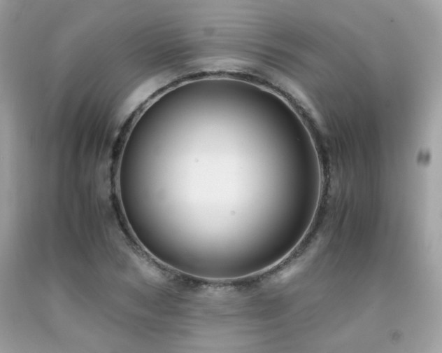 X0000092020978200709061550