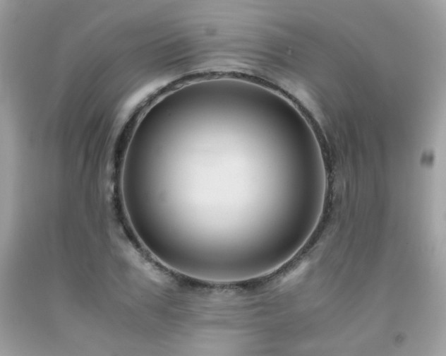 X0000092020979200709061550