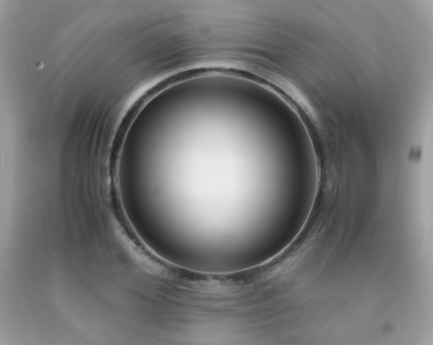 X0000092020980200709061550