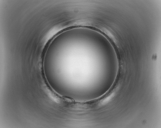 X0000092020981200709061550