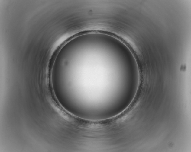 X0000092020982200709061550