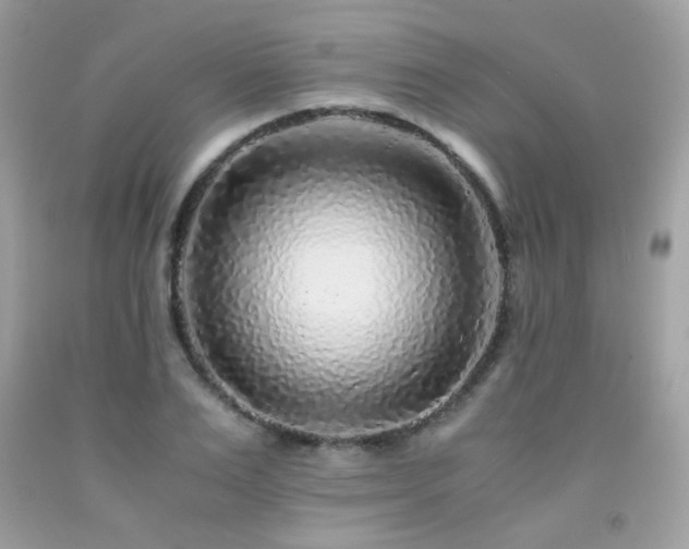 X0000092020983200709061550