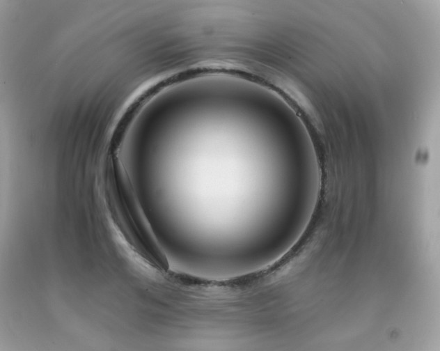 X0000092020984200709061550
