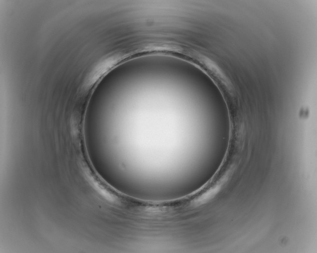 X0000092020985200709061550