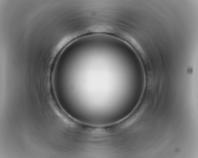 X0000092020986200709061549