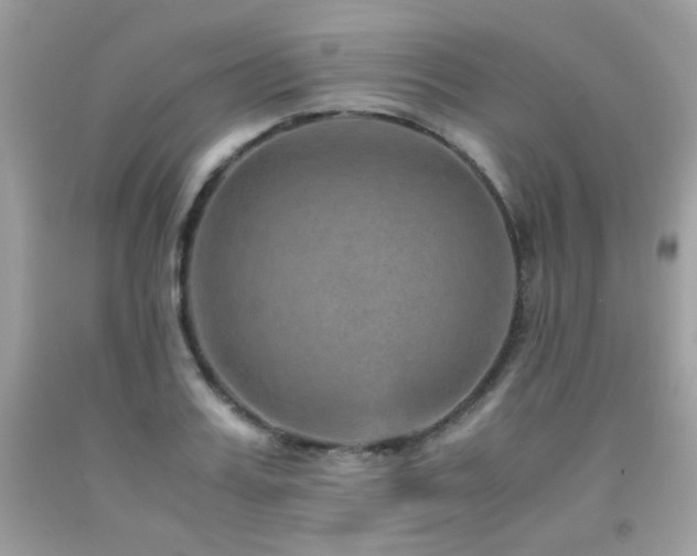 X0000092020987200709061549