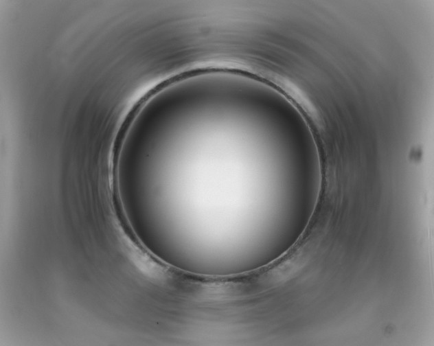 X0000092020988200709061549