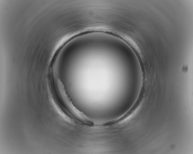 X0000092020989200709061549