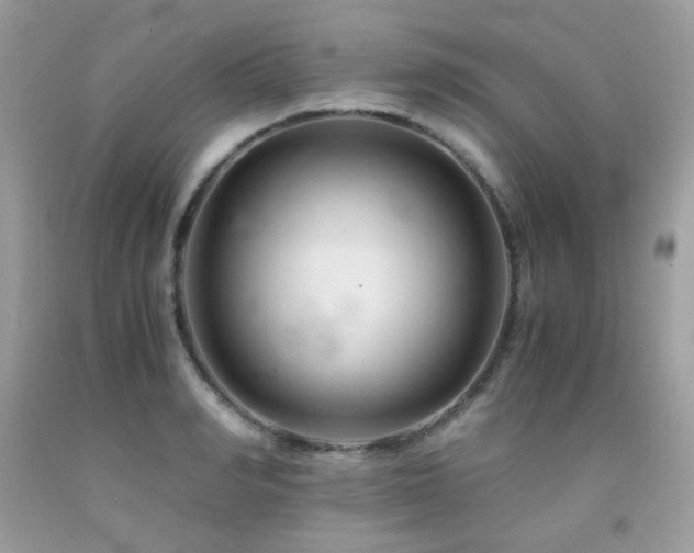 X0000092020990200709061549