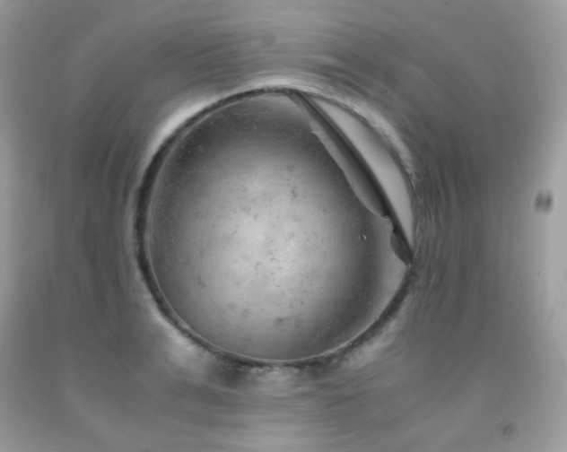 X0000092020991200709061549