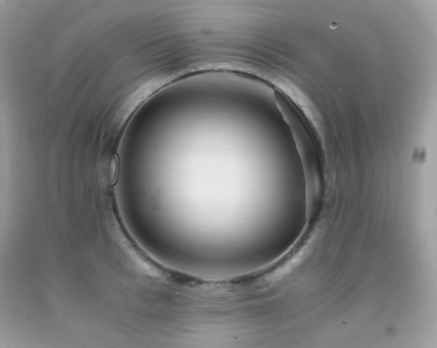 X0000092020993200709061549