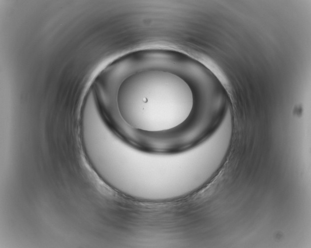 X0000092020996200709061549