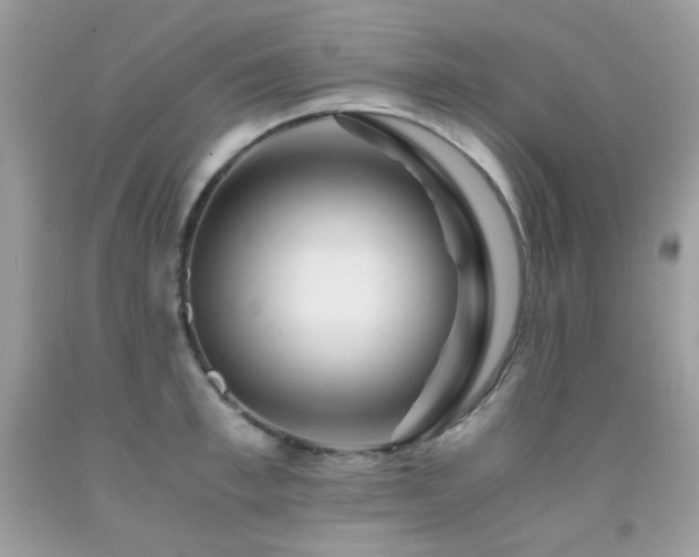 X0000092020997200709061549