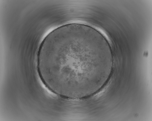 X0000092020999200709061549