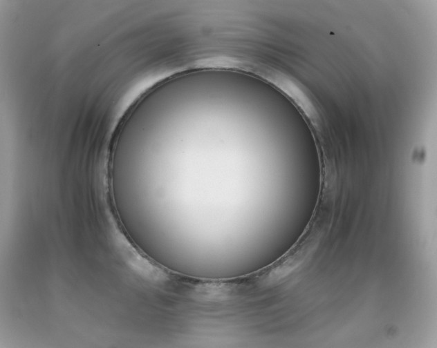 X0000092021000200709061549