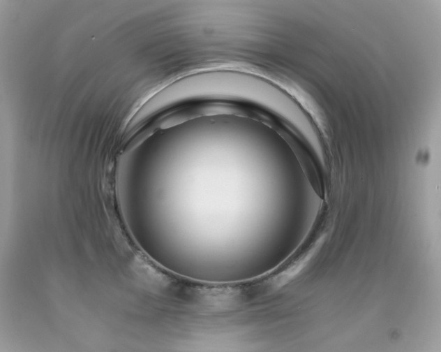 X0000092021001200709061549