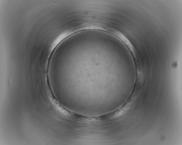 X0000092021002200709061549