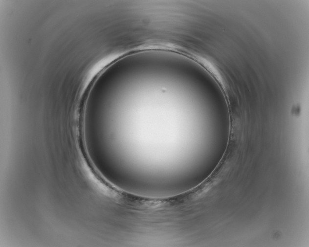 X0000092021003200709061549