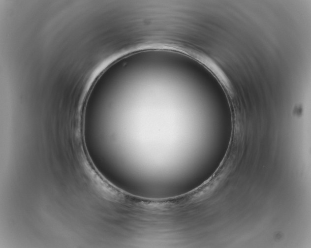 X0000092021004200709061549