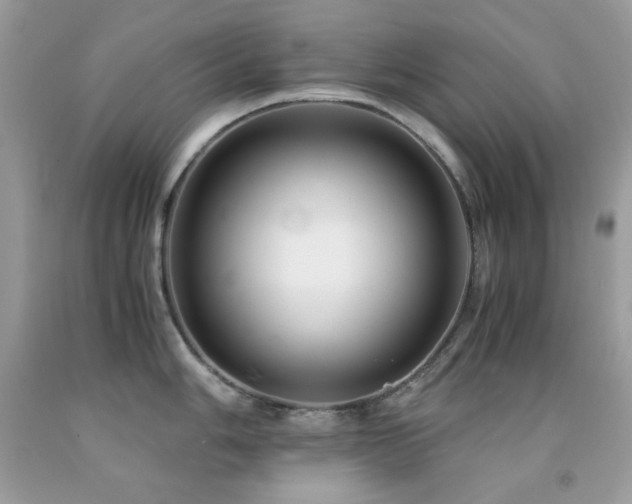 X0000092021006200709061549