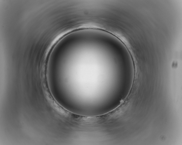 X0000092021008200709061549