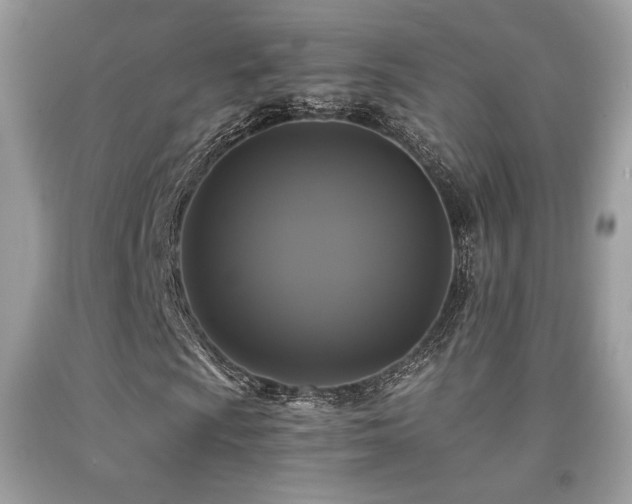X0000092021009200709061549