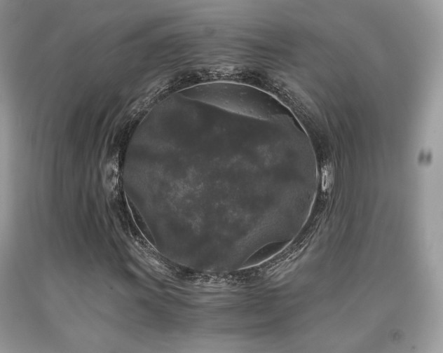 X0000092021011200709061549