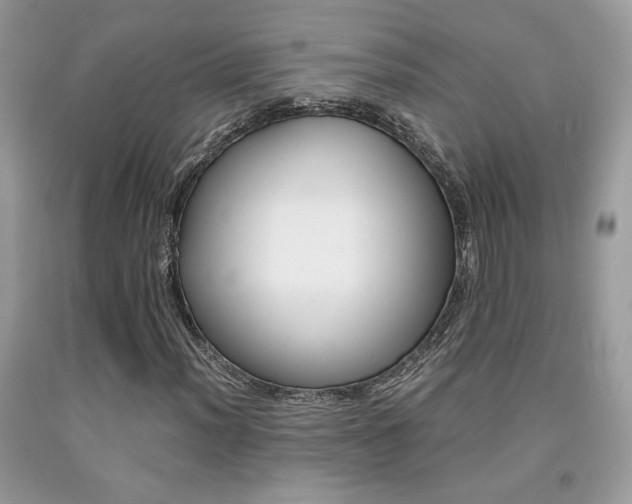 X0000092021012200709061549